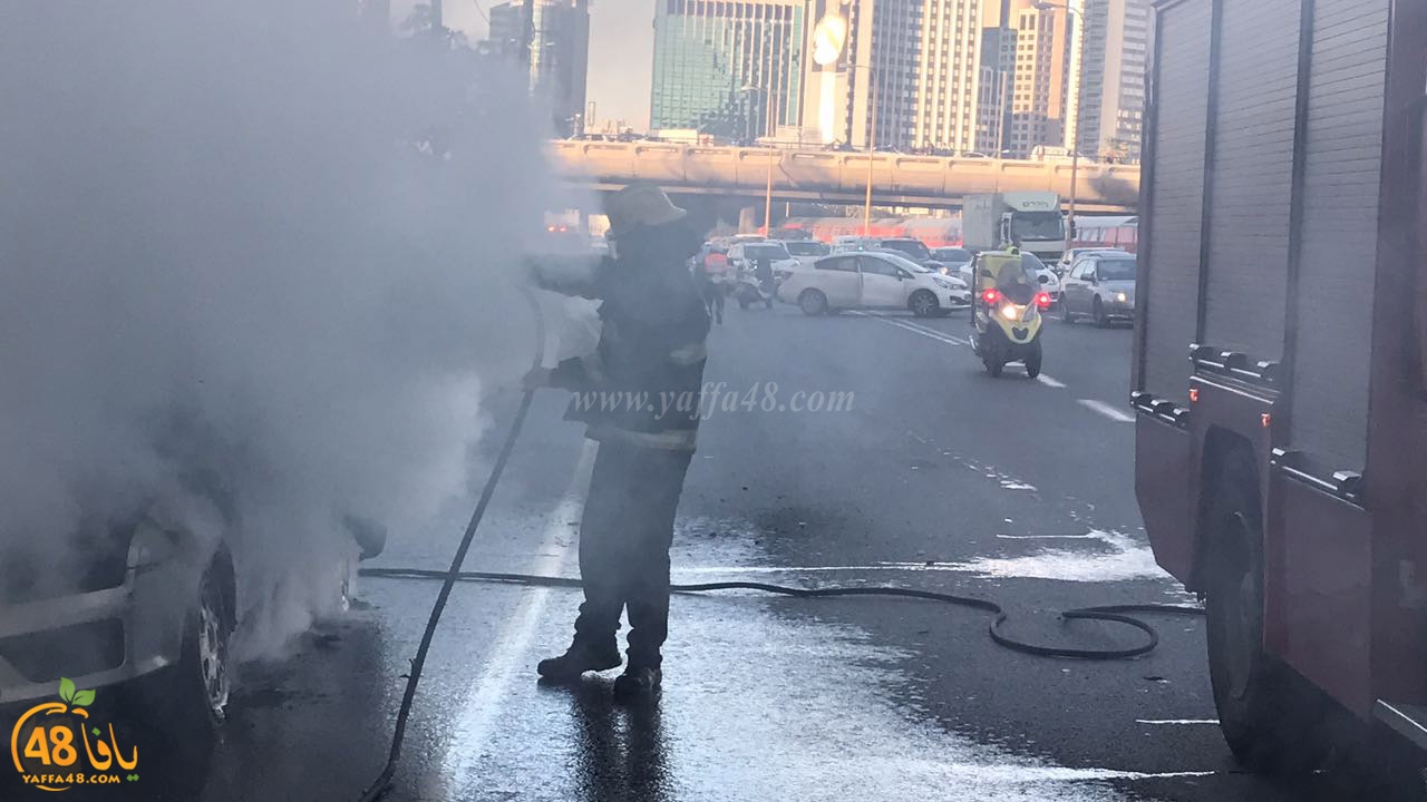 fire ayalooonhasgrq (6).jpg